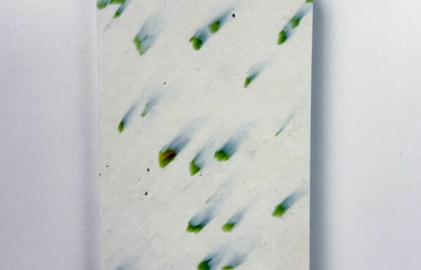 0 Forest breath płyta z recyklingu z plastiku premium